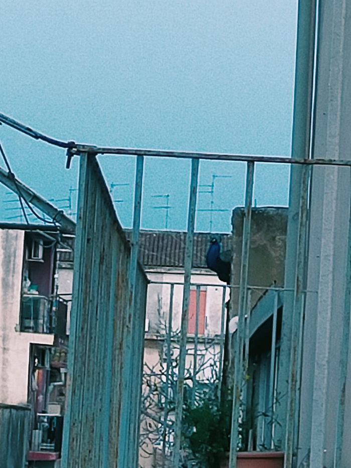 WhatsApp Image 2025-02-13 at 09.56.10