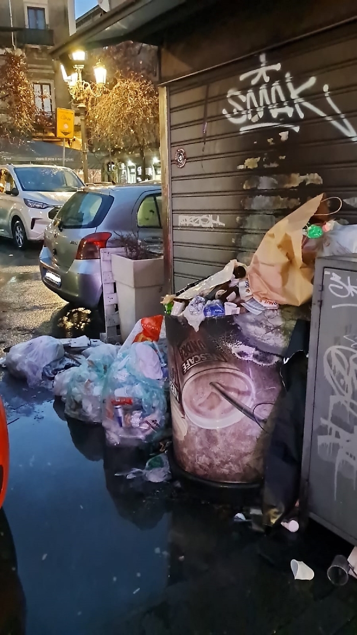 WhatsApp Image 2025-02-15 at 09.33.00