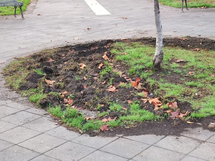 WhatsApp Image 2025-02-20 at 06.19.50 (2)