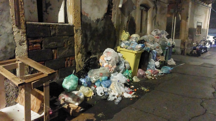 WhatsApp Image 2025-02-20 at 18.46.06