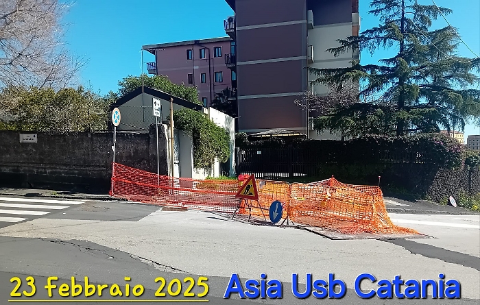 WhatsApp Image 2025-02-23 at 17.13.59