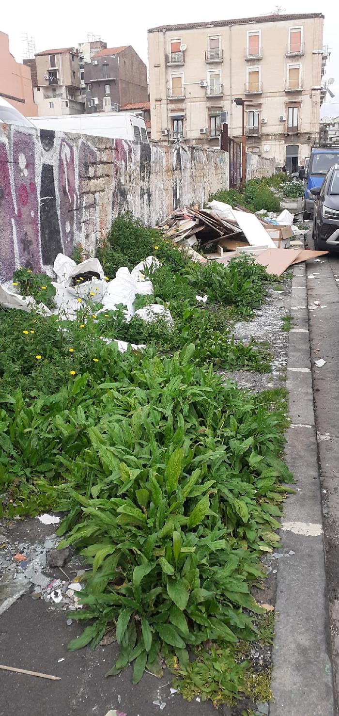 WhatsApp Image 2025-02-26 at 12.30.44