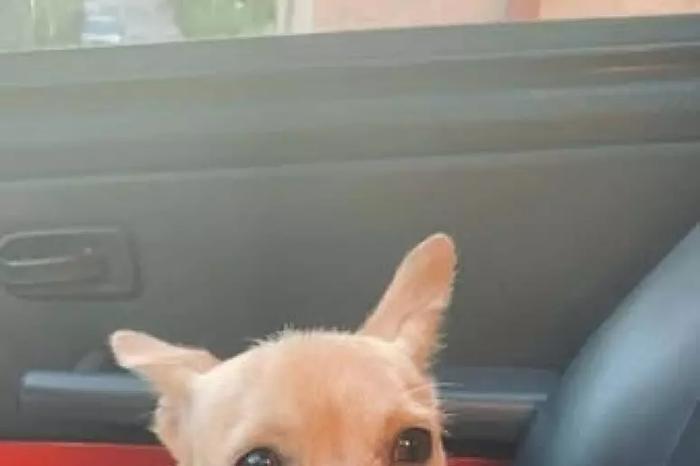 a51a17094378ab8c3378272e68f0d87b