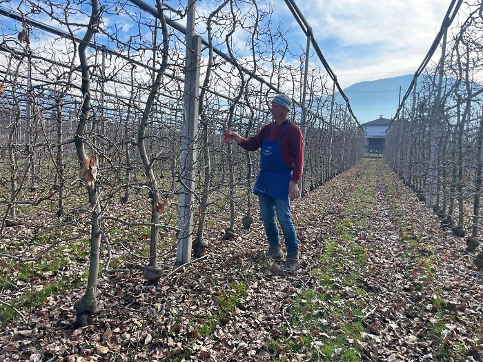 1742291102_21ad1cd055c2989b96aa