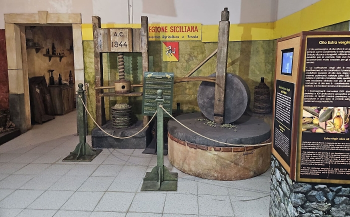 5 dieta mediterranea (2) (1)