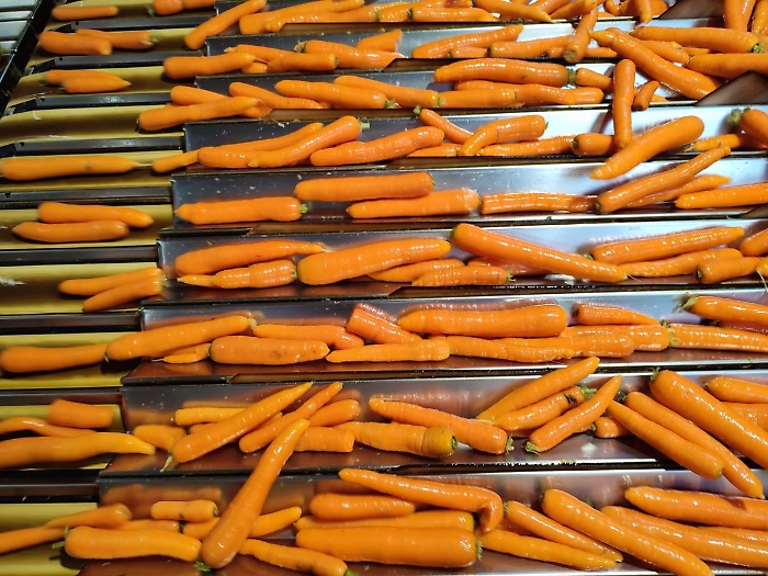 663a2790-8254-41f6-b245-36176376dd6a