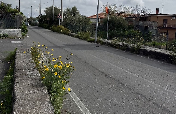 Incidente strada Sg Galermo