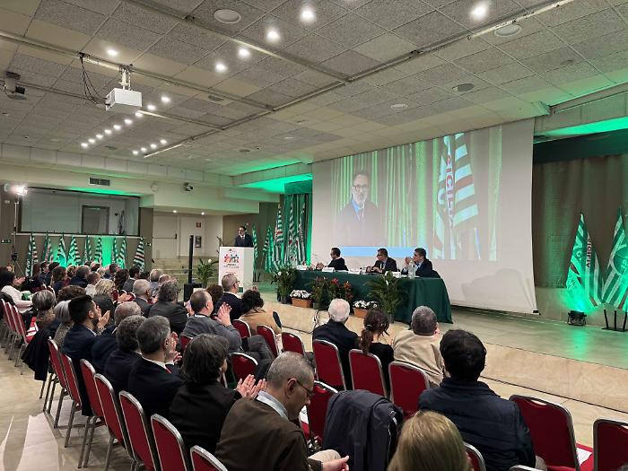 La relazione letta da Passanisi