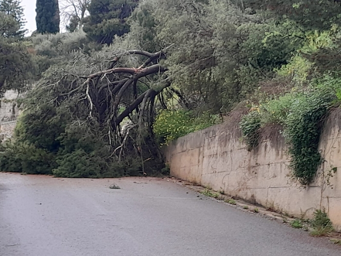 PHOTO-2025-03-26-09-08-59