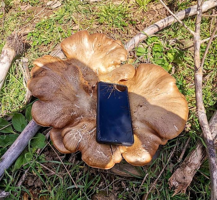 WhatsApp Image 2025-03-07 at 18.24.02