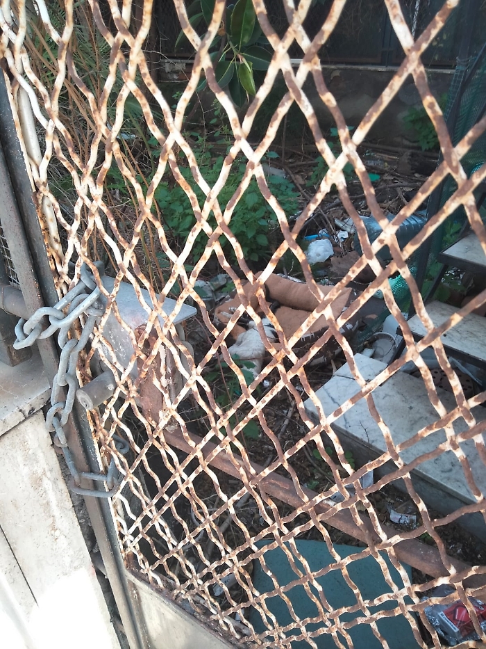 WhatsApp Image 2025-03-12 at 10.29.15