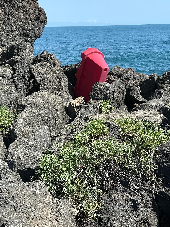 WhatsApp Image 2025-03-16 at 17.06.51 (1)