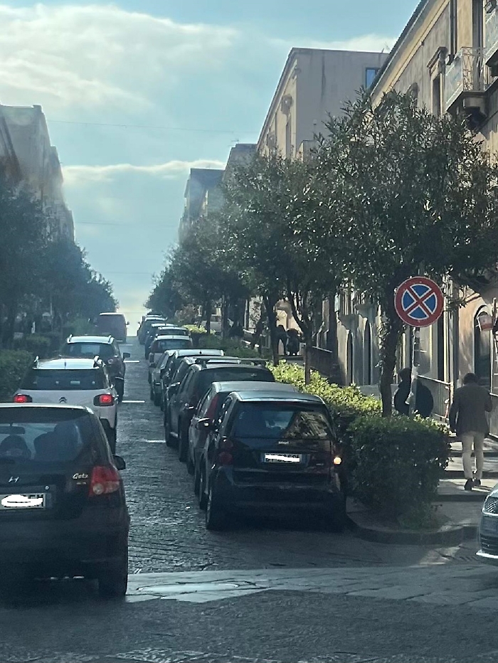 WhatsApp Image 2025-03-21 at 07.19.16