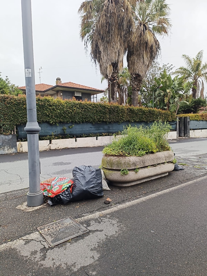 WhatsApp Image 2025-03-26 at 14.08.23 (2)