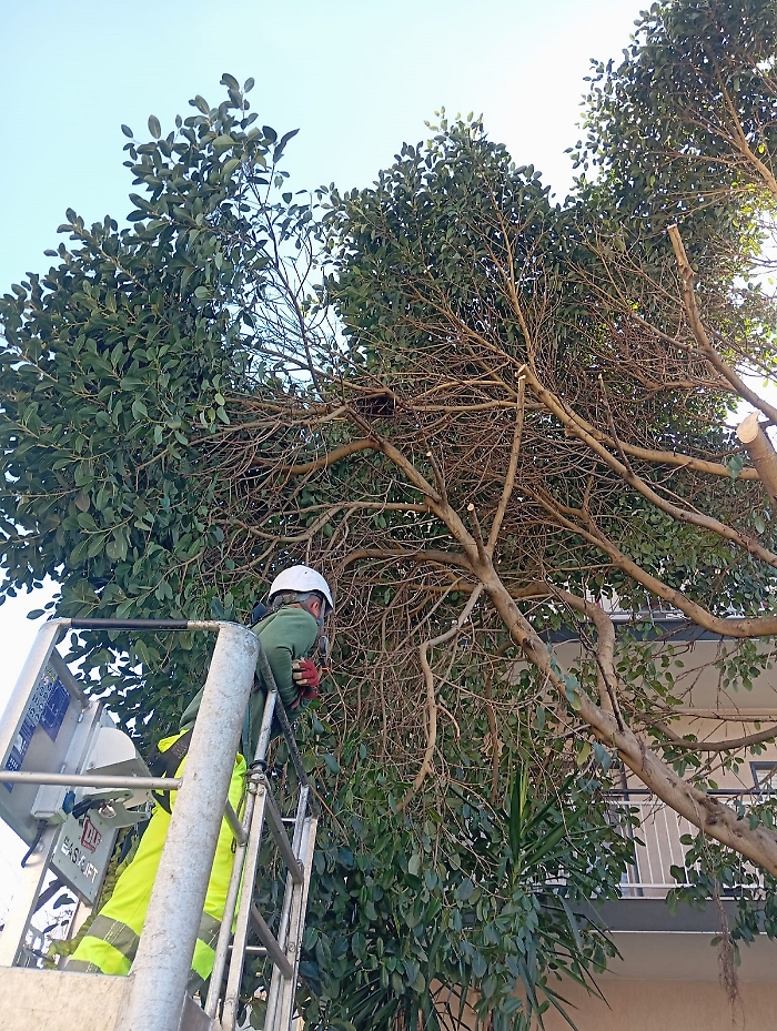 WhatsApp Image 2025-03-27 at 16.25.40