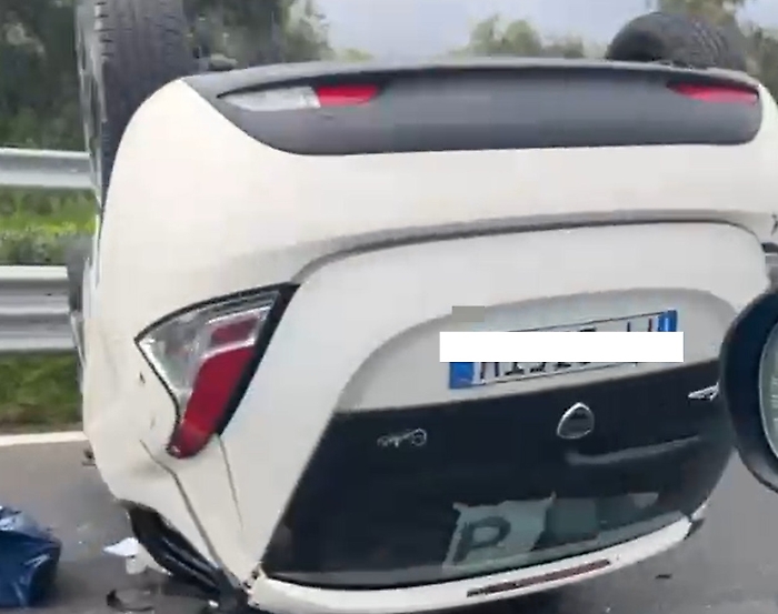 WhatsApp Image 2025-03-31 at 15.00.59