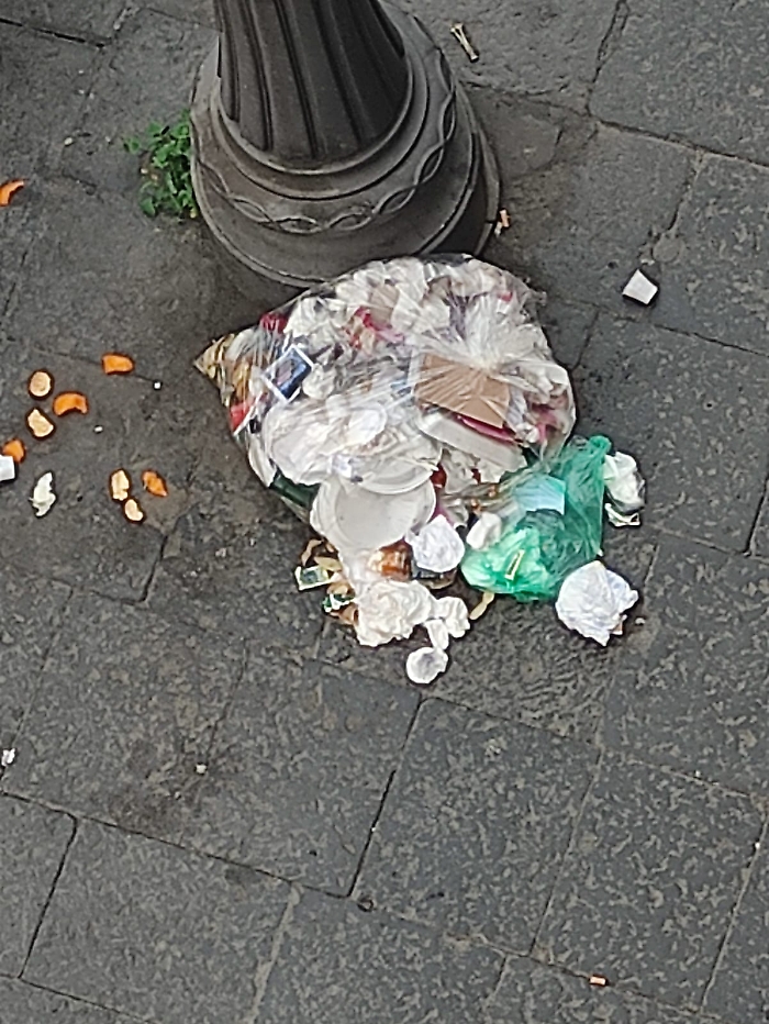 WhatsApp Image 2025-03-31 at 17.29.49