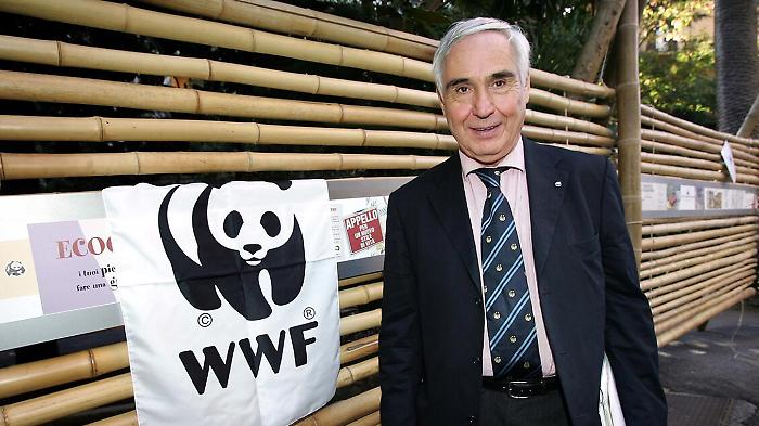 d5d1bbb208c5273cf447974408d80369