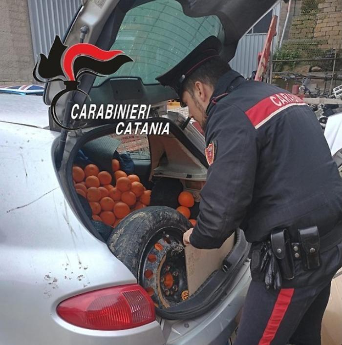 Un arresto per furto di arance