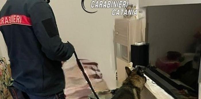 zafferana etnea cinofili