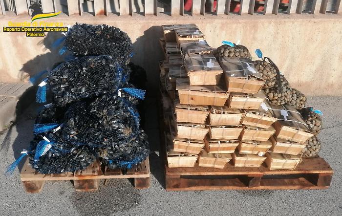 07042025_122515_Prodotti ittici