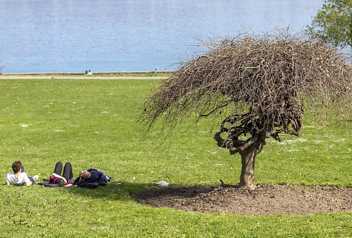 1744274462_05007864b71230ac025b