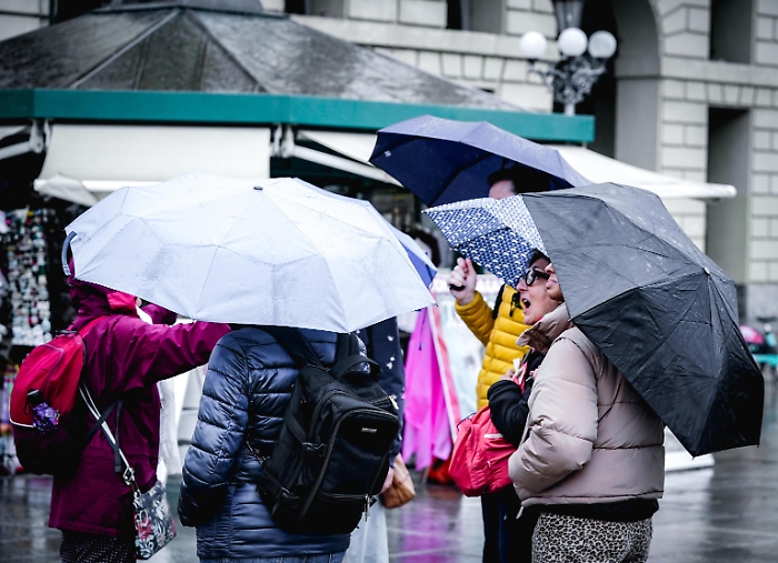 1745060702_7ad4b553c79903299a48