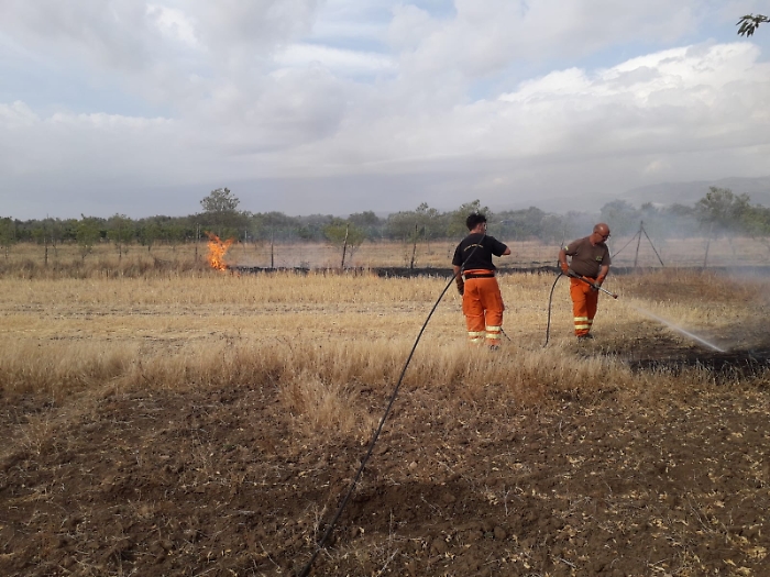 488571575_1129680265852361_7600157167673763524_n