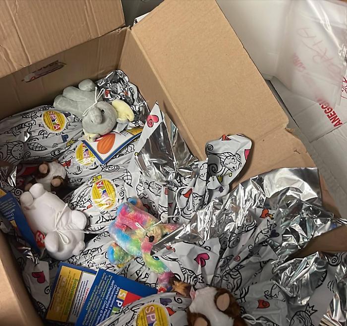 488902943_1012648164297558_9038838285589103628_n