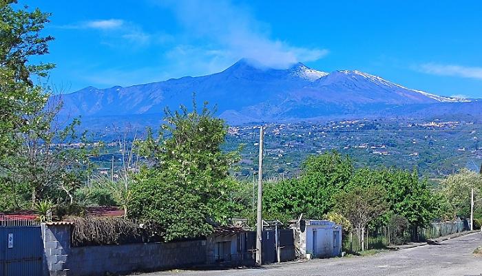 491689306_10232428203082108_3315767274465550109_n