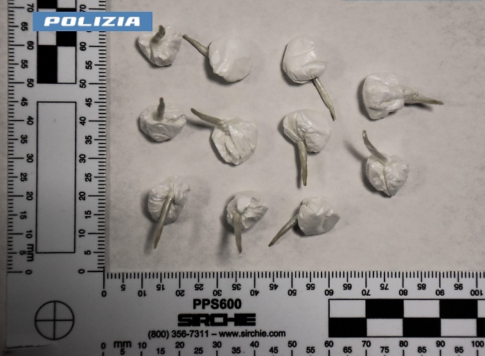 LA POLIZIA DI STATO ARRESTA PUSHER FERMATO NEL CENTRO DI CALTAGIRONE. L&rsquo;UOMO E&rsquo; STATO TROVATO IN POSSESSO DI 11 DOSI DI COCAINA.