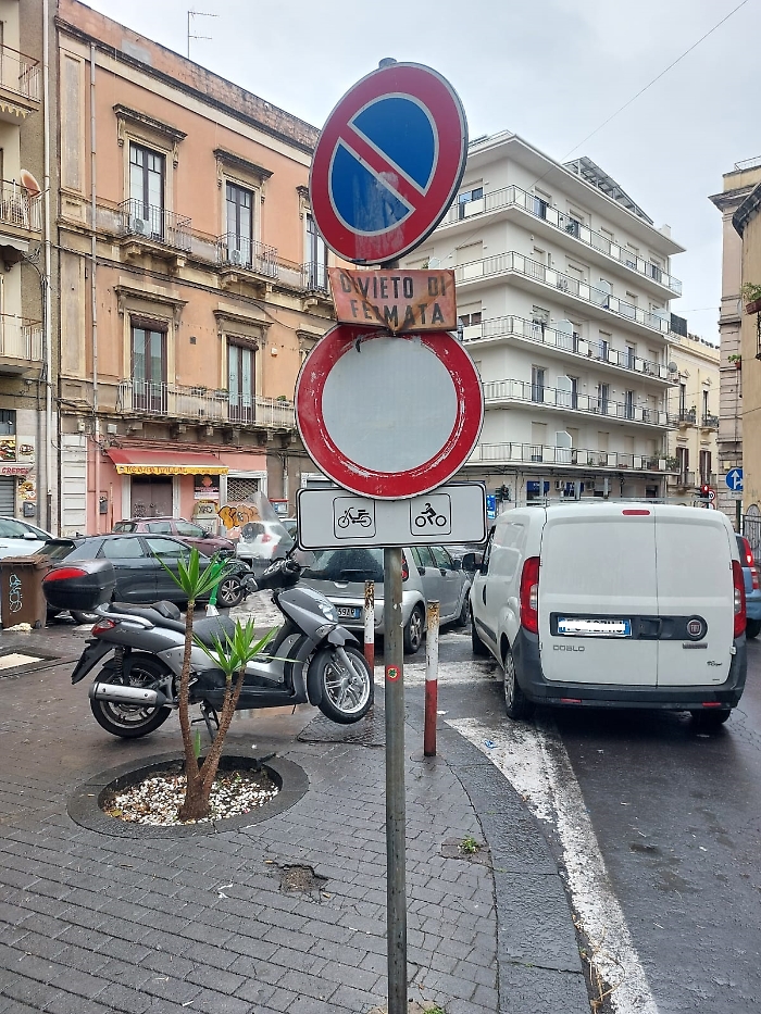 WhatsApp Image 2025-04-01 at 11.06.27