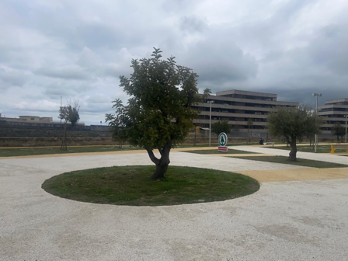 WhatsApp Image 2025-04-01 at 12.53.53