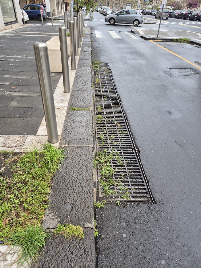 WhatsApp Image 2025-04-01 at 13.55.08