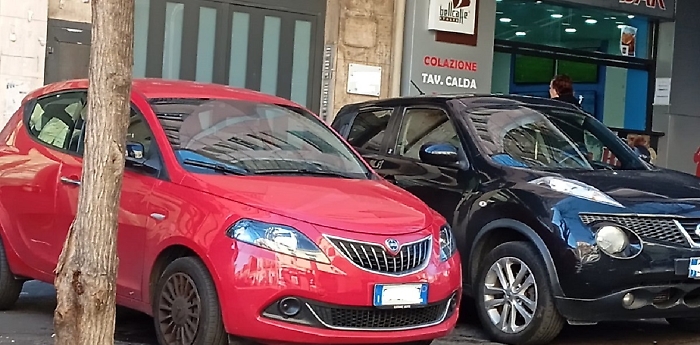 WhatsApp Image 2025-04-02 at 14.42.04