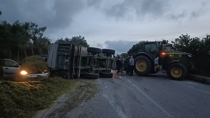 WhatsApp Image 2025-04-04 at 20.16.28 (1)