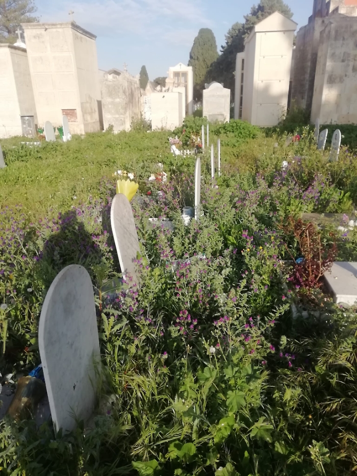 WhatsApp Image 2025-04-08 at 10.42.16 (2)