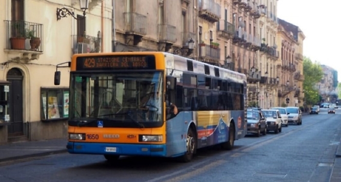 WhatsApp Image 2025-04-08 at 17.12.31