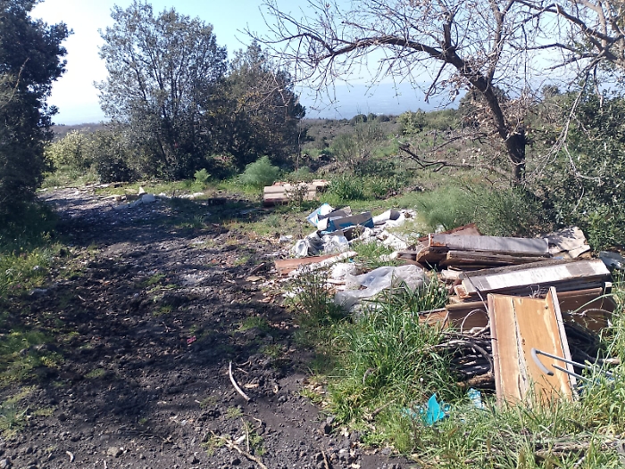 WhatsApp Image 2025-04-09 at 10.37.05