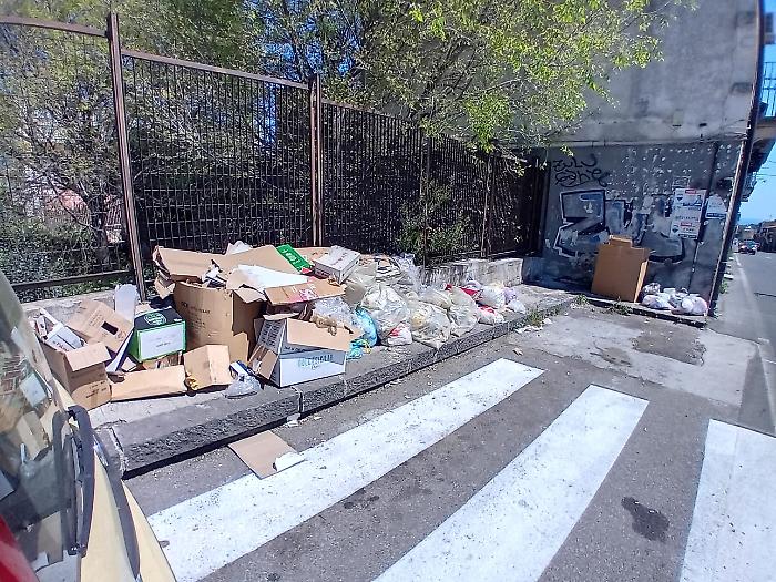 WhatsApp Image 2025-04-10 at 18.50.34