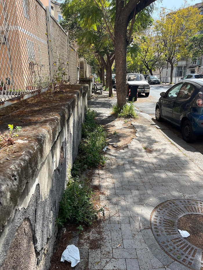 WhatsApp Image 2025-04-22 at 10.33.03 (1)