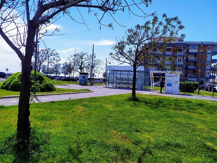 WhatsApp Image 2025-04-25 at 09.36.31