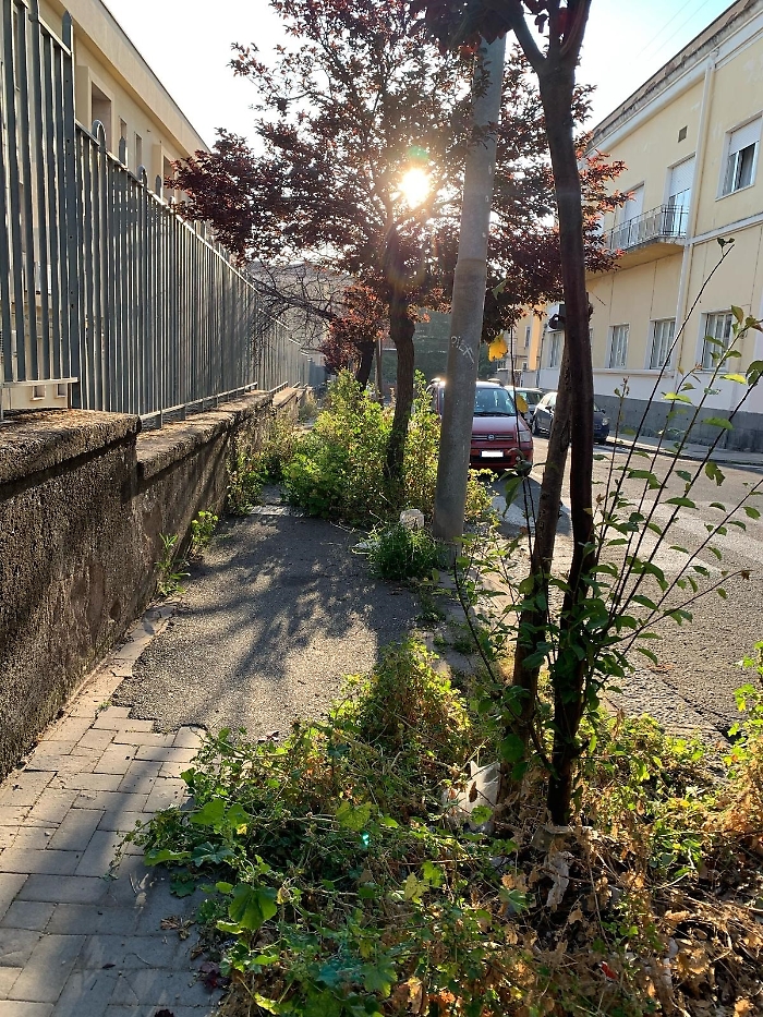 WhatsApp Image 2025-04-30 at 07.31.01