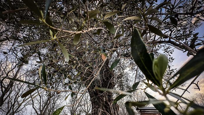 c0698f1bac72ff97695de7974d6d143b