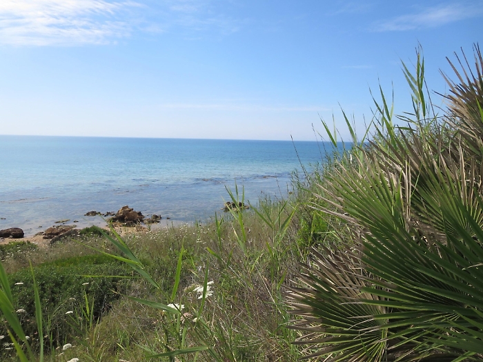 1748073903_d316e4d91c4fb4b888d4