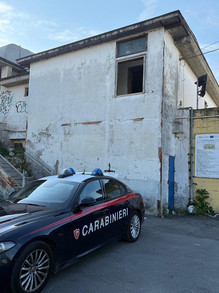 1748416557_c8fc2cca1eab213f717d