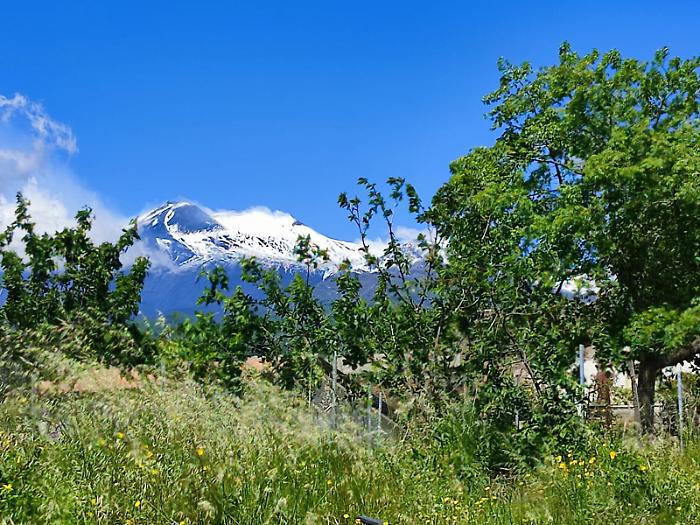 6bdb2def-f1b3-43c7-a640-f02aefa9a3c8