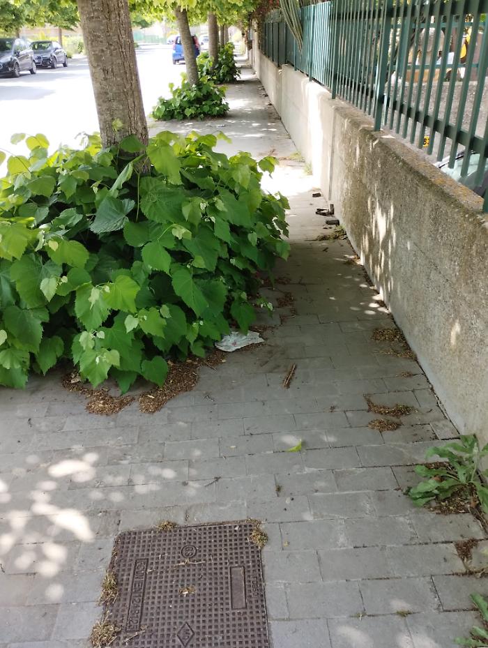 Altro marciapiede con verde sovradimensionato
