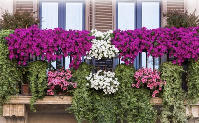 Balconi fioriti