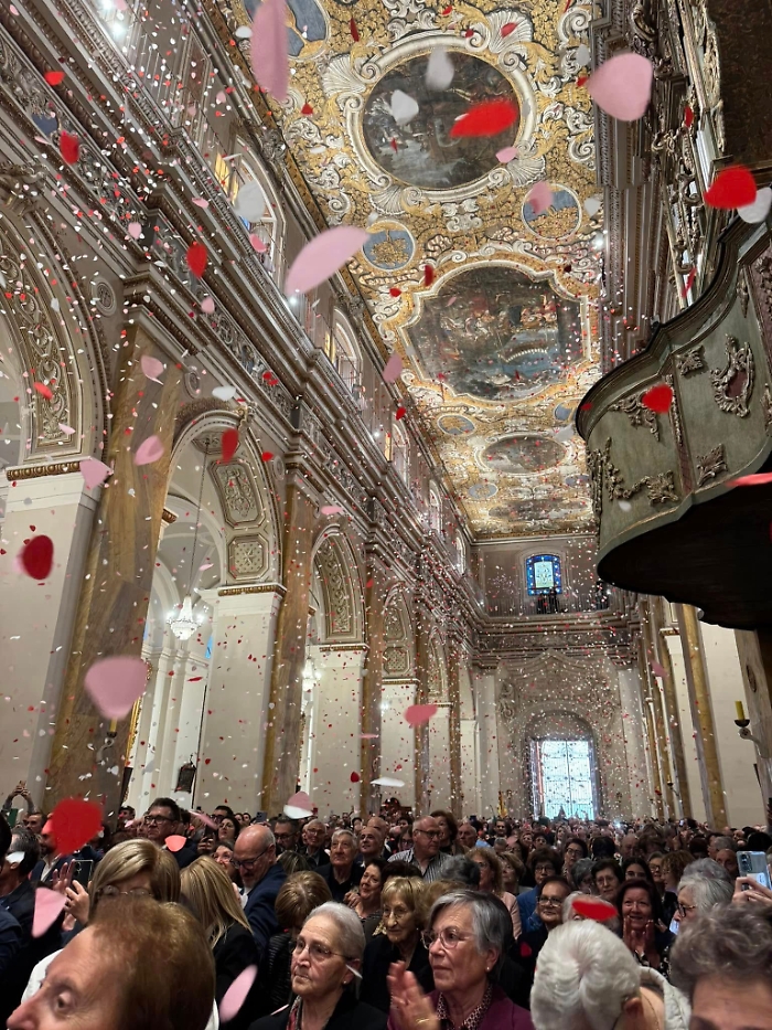 Caduta petali di rose 2025